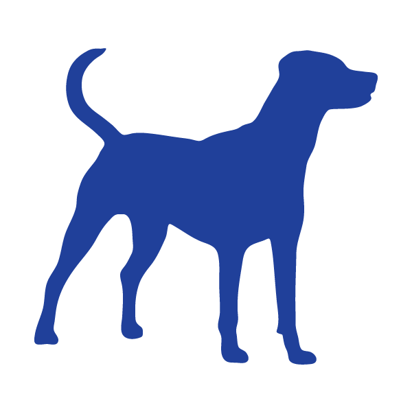 Blue Dog Mobile RV Repair and Inspection LLC